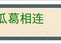 瓜葛相连的意思,及其含义,瓜葛相连基本解释