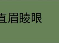 直眉睖眼的意思,及其含义,直眉睖眼基本解释