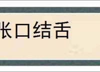 张口结舌的意思,及其含义,张口结舌基本解释